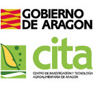 Logotipo institucional